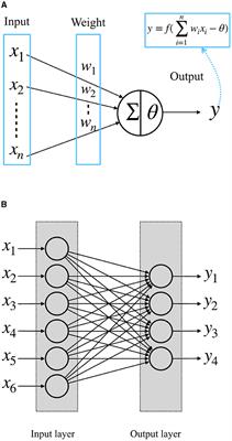 Single-layer perceptron artificial visual system for orientation detection